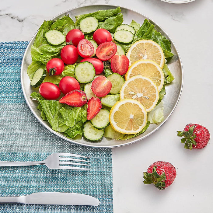 Stainless Steel Dinner Plate,6 pack