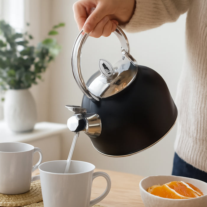 Stainless Steel Black Whistling Kettle
