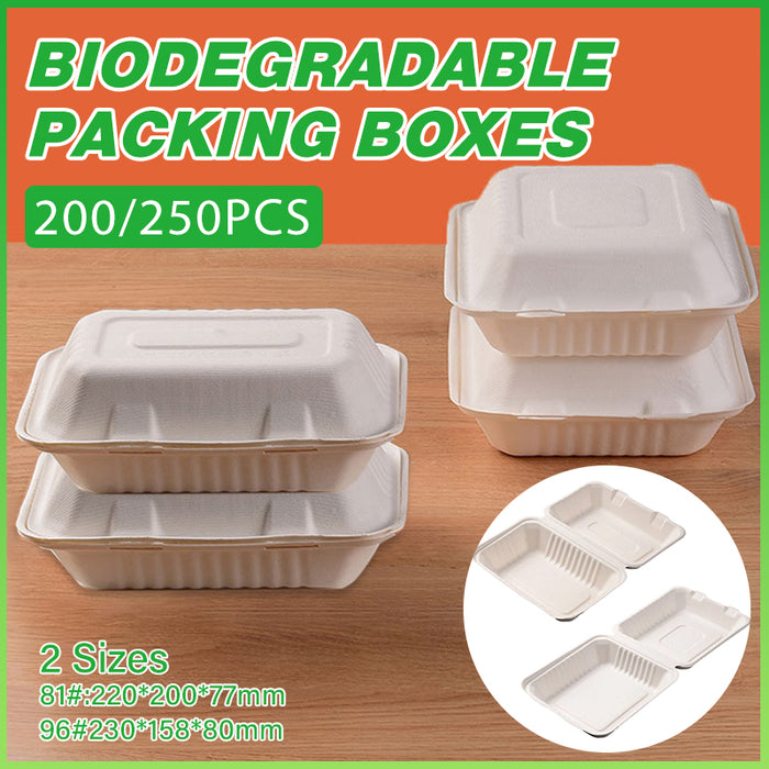 200/250PCS Biodegradable Compostable Clamshell Food Boxes for Hot Food
