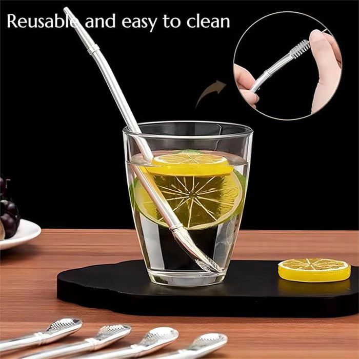 5 Pcs Straw Spoons with Removable Filter 18cm Stainless Steel