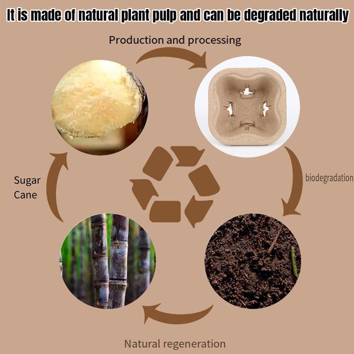 100 Pcs Recycled Paper Pulp Cup Tray 2 4 Cup Carrier