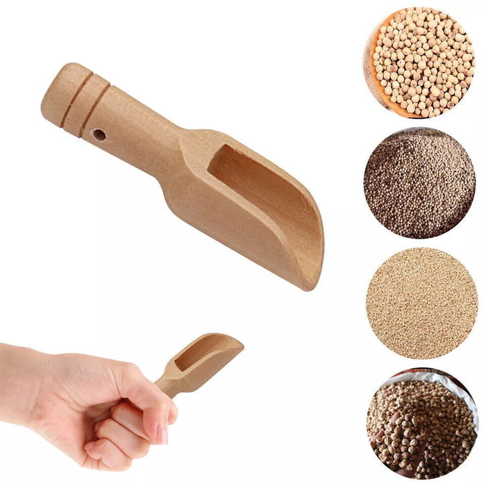 Wooden Mini Scoop Spoon for Salt Sugar Coffee Kitchen Use