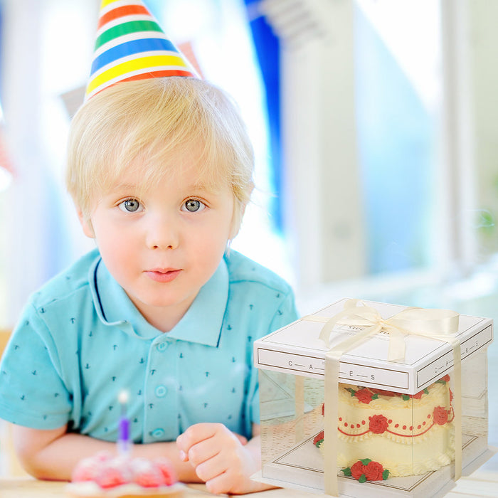 10 Pcs Clear PET Cake Box with Transparent Window Food Safe