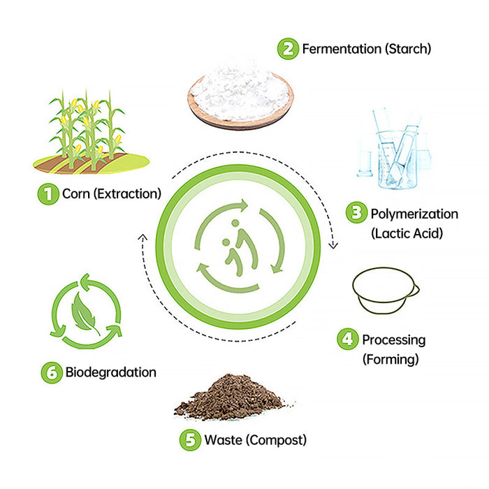 50Pcs Biodegradable Corn Starch Food Containers with Lids, 24.5x10.1x3.6cm