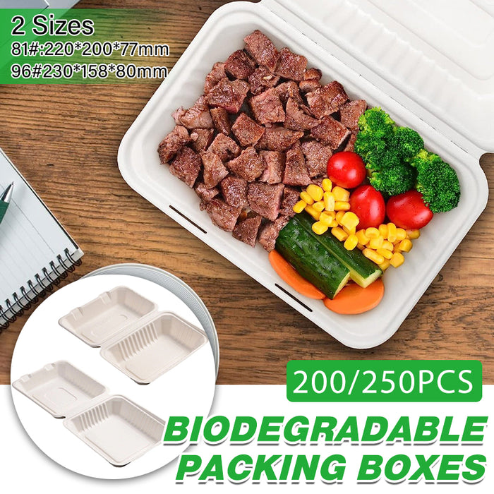 200/250PCS Biodegradable Compostable Clamshell Food Boxes for Hot Food