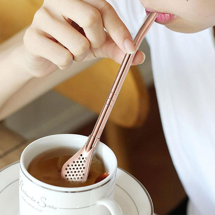 5 Pcs Straw Spoons with Removable Filter 18cm Stainless Steel