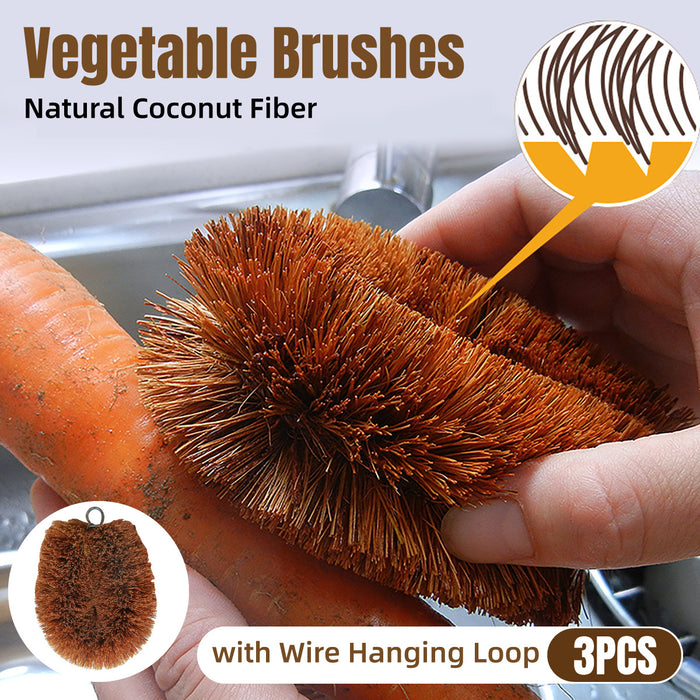 3 Pcs Coconut Fibre Kitchen Dish Cleaning Brush with Hanging Loop 10 x 9 cm
