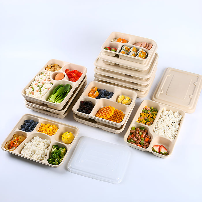 25 / 50 Pcs Biodegradable Lunch Boxes Microwave Safe -20°C to 120°C Multi-Compartment
