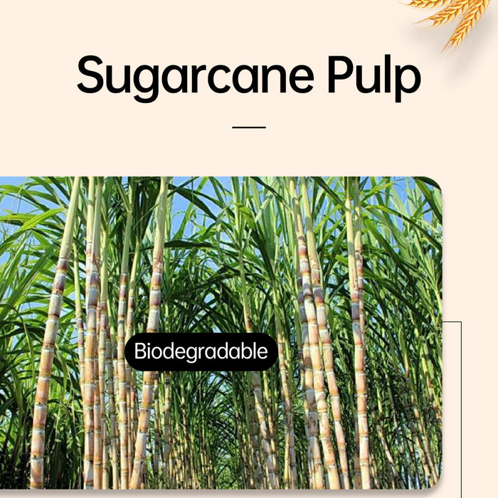 50 Pcs Sugarcane Pulp Ice Cream Cups White Biodegradable