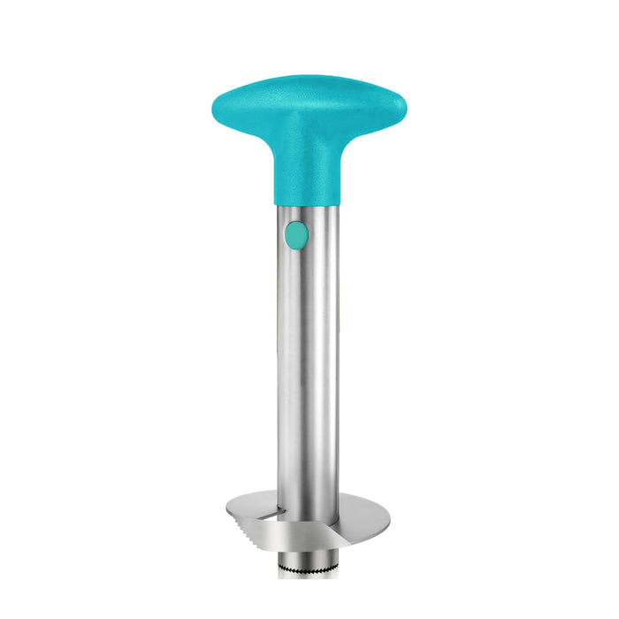 Stainless Steel Pineapple Corer Slicer Peeler Cutter with ABS Handle