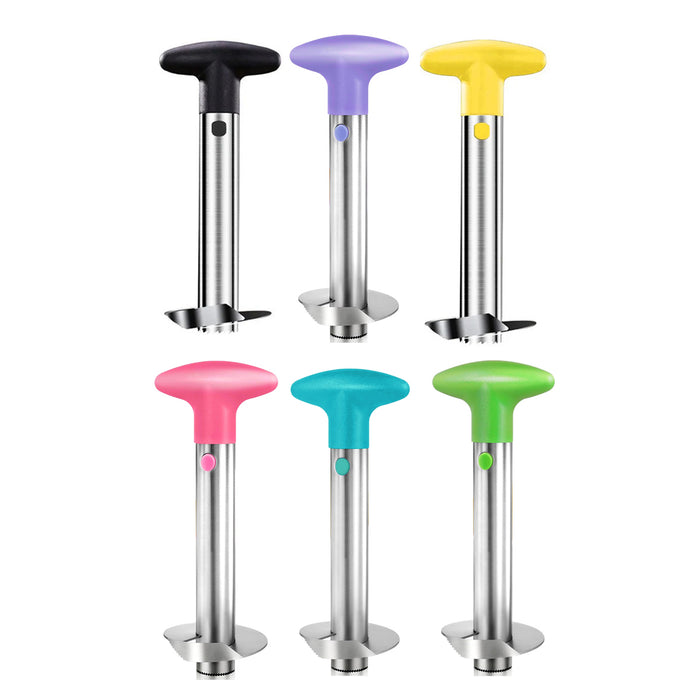Stainless Steel Pineapple Corer Slicer Peeler Cutter with ABS Handle