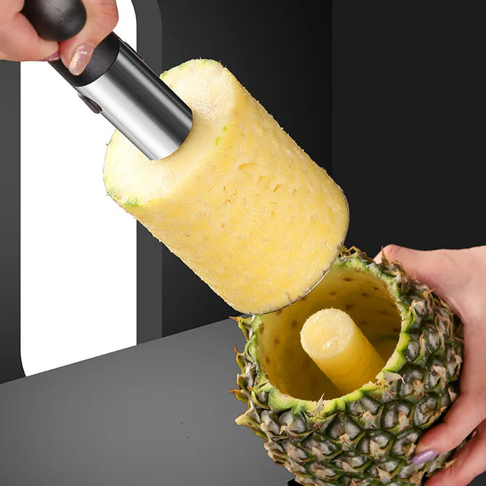 Stainless Steel Pineapple Corer Slicer Peeler Cutter with ABS Handle