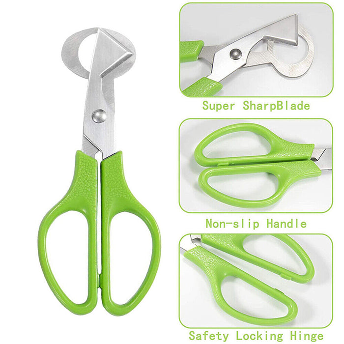 Stainless Steel Pigeon and Quail Egg Scissors Cracker Opener Tool
