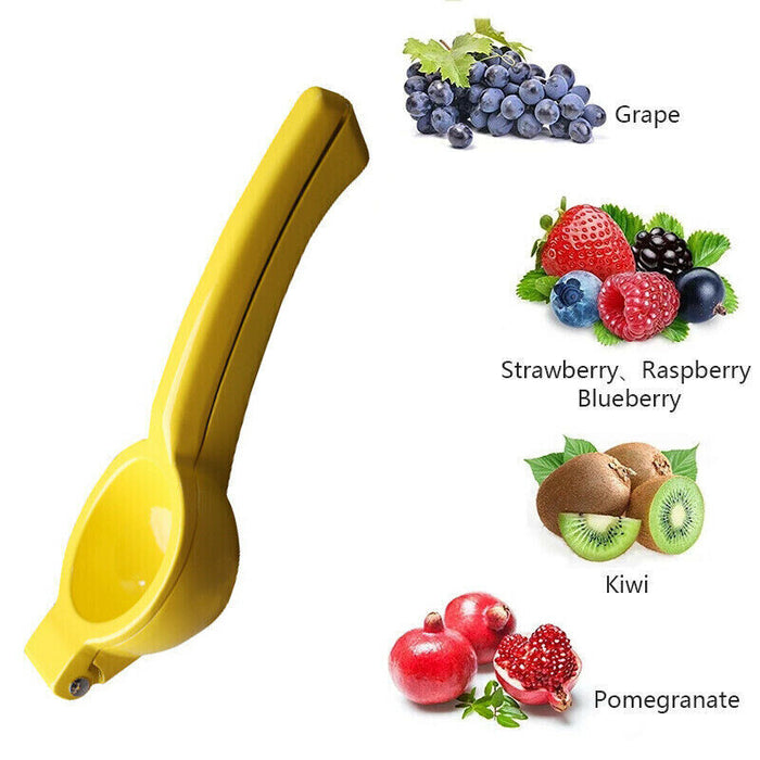 Handheld Metal Citrus Juicer, Ergonomic Design