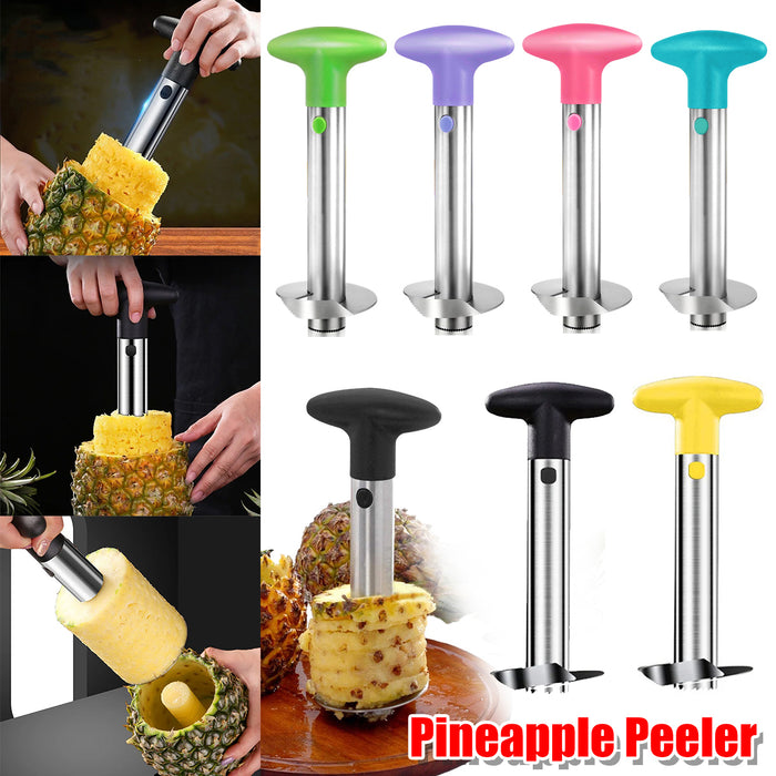 Stainless Steel Pineapple Corer Slicer Peeler Cutter with ABS Handle