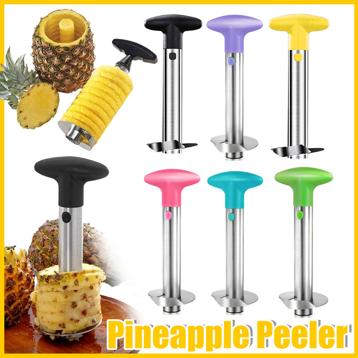 Stainless Steel Pineapple Corer Slicer Peeler Cutter with ABS Handle
