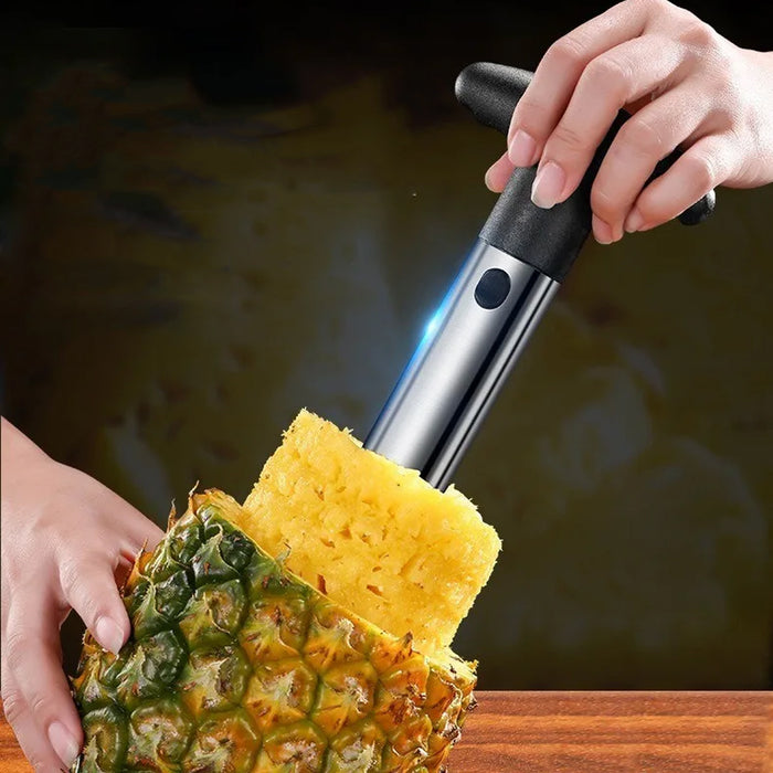 Stainless Steel Pineapple Corer Slicer Peeler Cutter with ABS Handle
