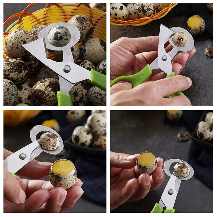 Stainless Steel Pigeon and Quail Egg Scissors Cracker Opener Tool