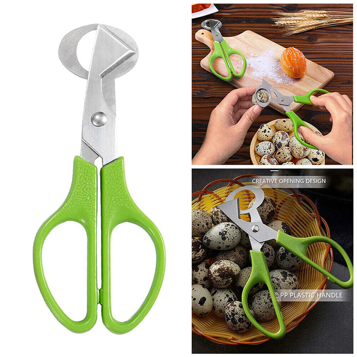 Stainless Steel Pigeon and Quail Egg Scissors Cracker Opener Tool