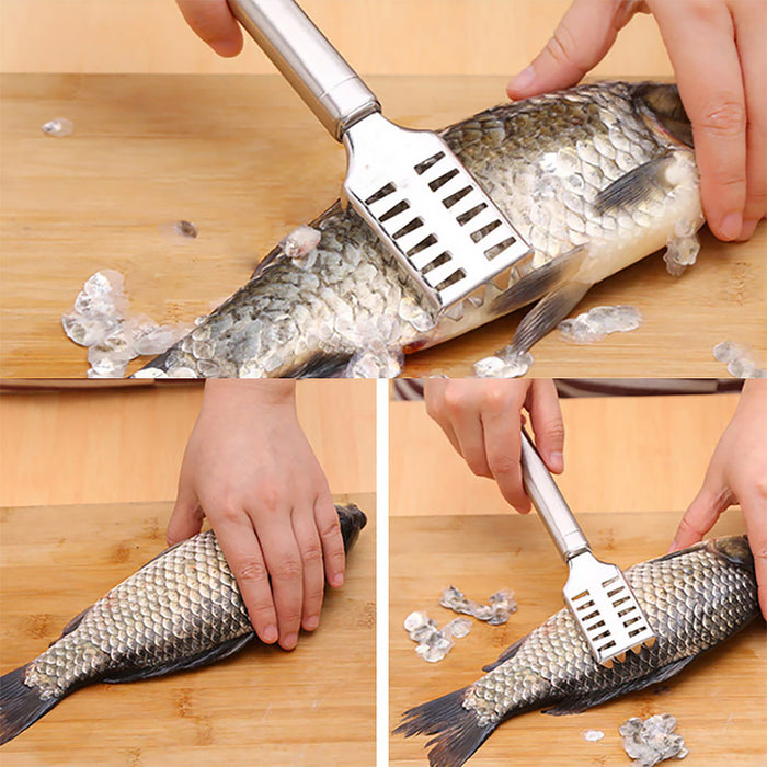 Stainless Steel Fish Scraper with Ergonomic Handle Silver