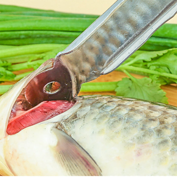 Stainless Steel Fish Scraper with Ergonomic Handle Silver