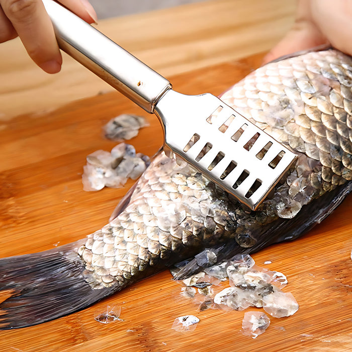 Stainless Steel Fish Scraper with Ergonomic Handle Silver
