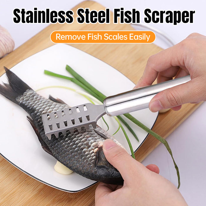Stainless Steel Fish Scraper with Ergonomic Handle Silver
