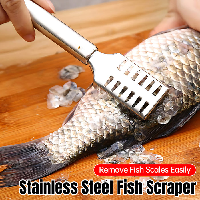 Stainless Steel Fish Scraper with Ergonomic Handle Silver