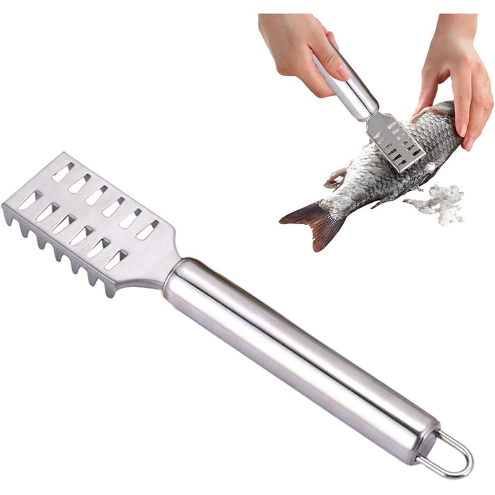 Stainless Steel Fish Scraper with Ergonomic Handle Silver