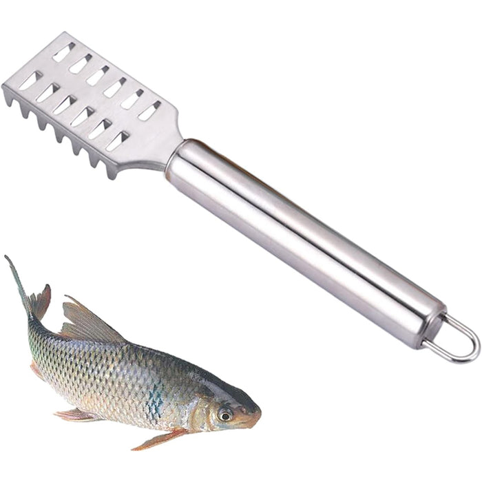 Stainless Steel Fish Scraper with Ergonomic Handle Silver