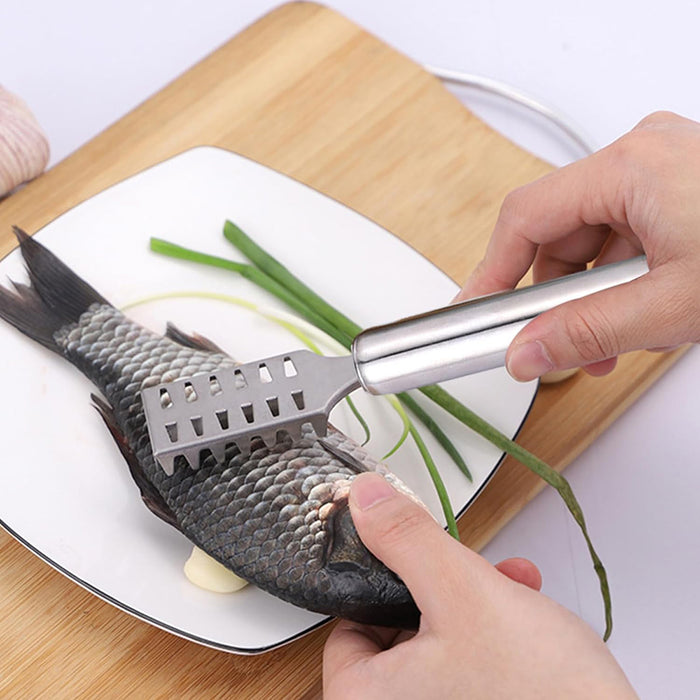 Stainless Steel Fish Scraper with Ergonomic Handle Silver