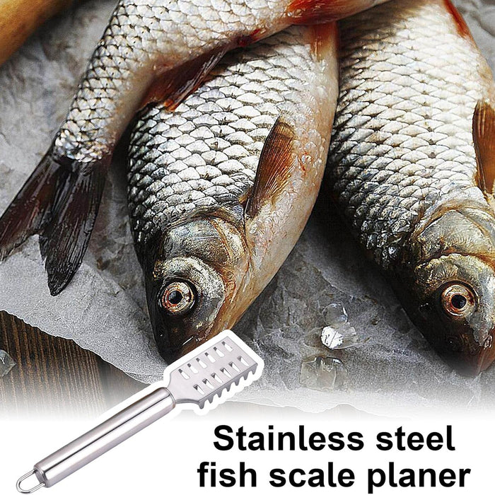 Stainless Steel Fish Scraper with Ergonomic Handle Silver