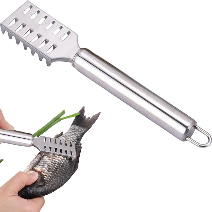 Stainless Steel Fish Scraper with Ergonomic Handle Silver