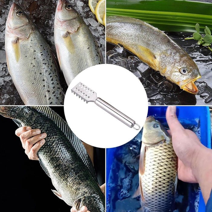 Stainless Steel Fish Scraper with Ergonomic Handle Silver
