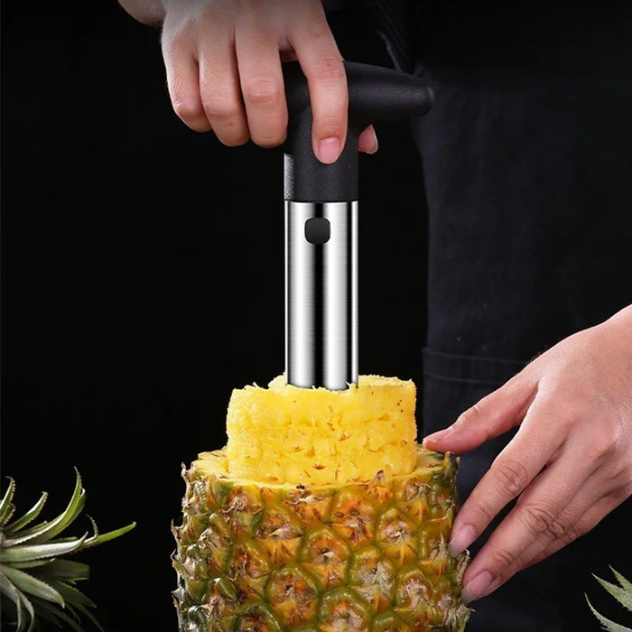 Stainless Steel Pineapple Corer Slicer Peeler Cutter with ABS Handle
