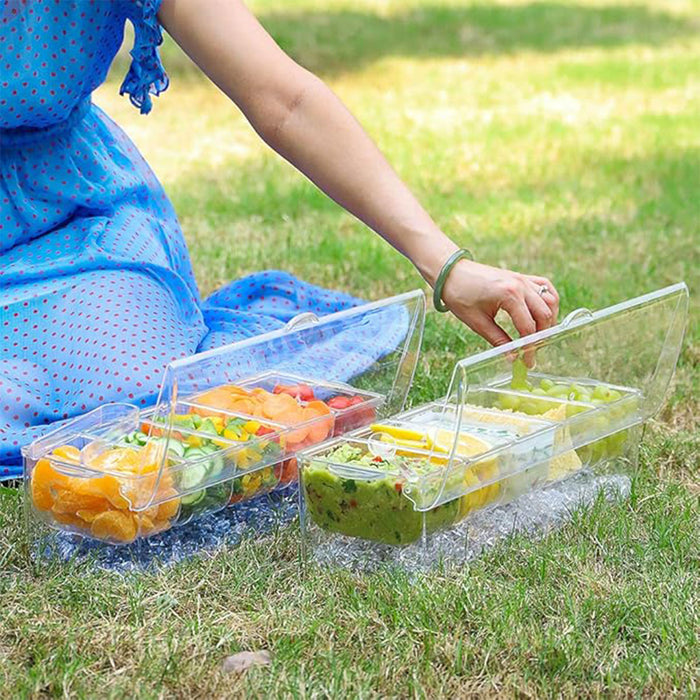 Outdoor Picnic Ice Box Split Salad Plate Clear BPA Free