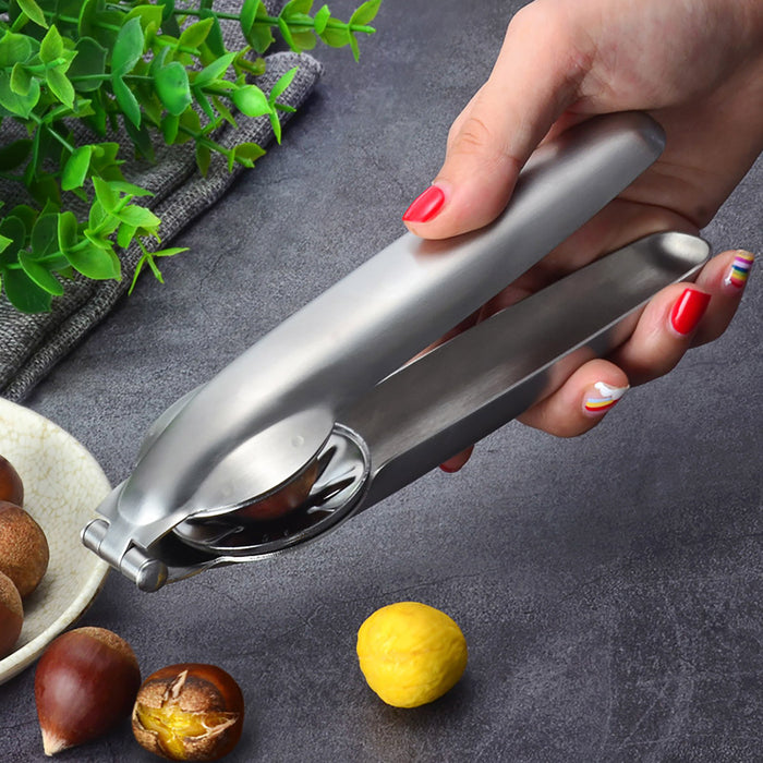 Chestnut Opener Cross Blade 304 Stainless Steel Anti-Slip 17 x 5 cm