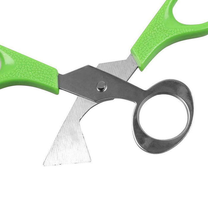 Stainless Steel Pigeon and Quail Egg Scissors Cracker Opener Tool