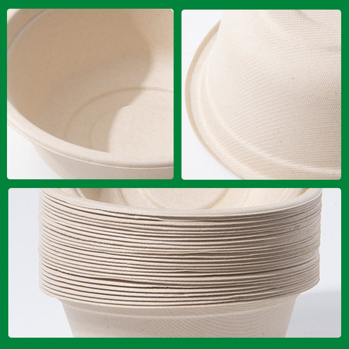 250Pcs Disposable Bagasse Bento Boxes with PP or PET Lids