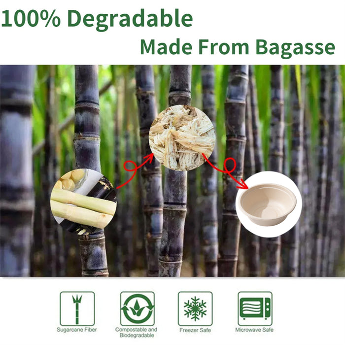250Pcs Disposable Bagasse Bento Boxes with PP or PET Lids