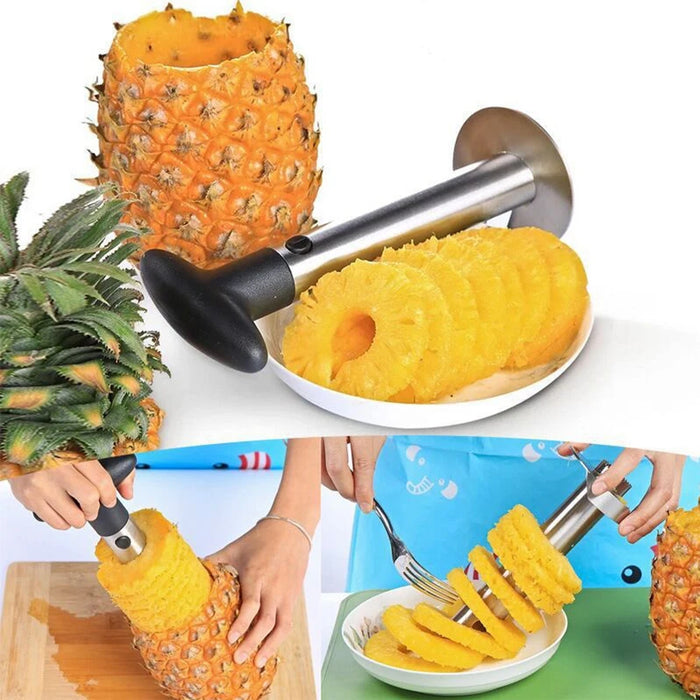 Stainless Steel Pineapple Corer Slicer Peeler Cutter with ABS Handle