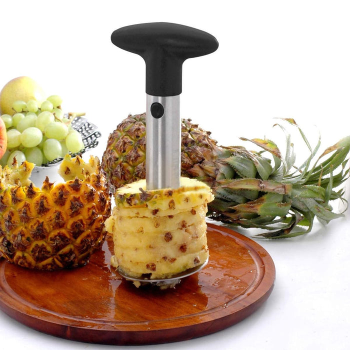 Stainless Steel Pineapple Corer Slicer Peeler Cutter with ABS Handle