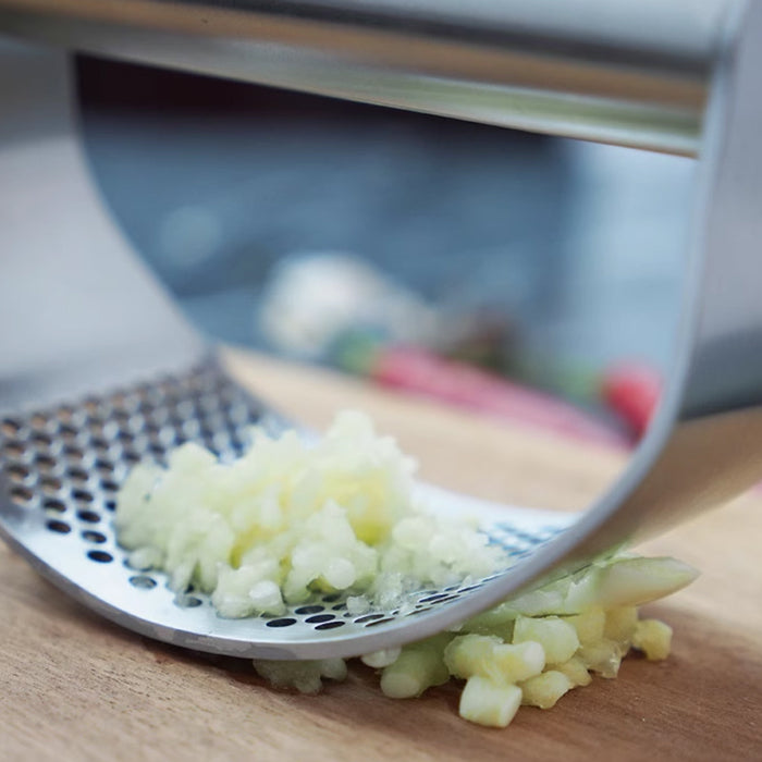 Stainless Steel Garlic Press with Arc Rocking Handle