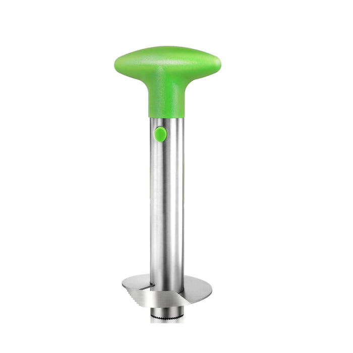 Stainless Steel Pineapple Corer Slicer Peeler Cutter with ABS Handle