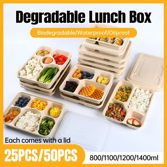 25 / 50 Pcs Biodegradable Lunch Boxes Microwave Safe -20°C to 120°C Multi-Compartment
