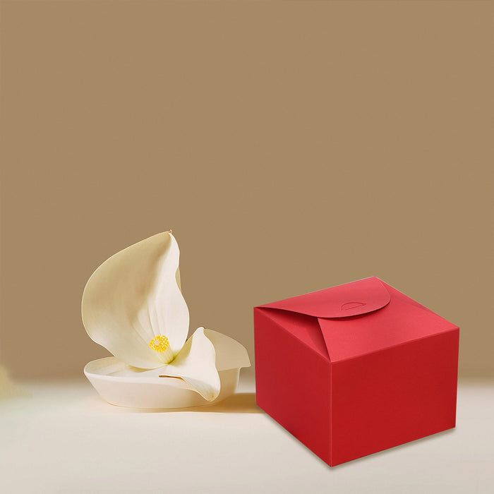 100 Pcs Square Kraft Paper Pastry Box for Cake Dessert 2 Sizes