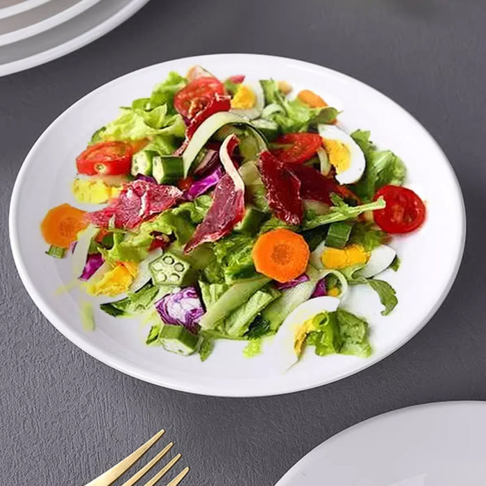 6 Pcs White Melamine Round Dinner Plates 10 Inch 254 mm Drop-Resistant