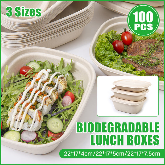 100Pcs Disposable Bagasse Takeaway Food Boxes with Lids
