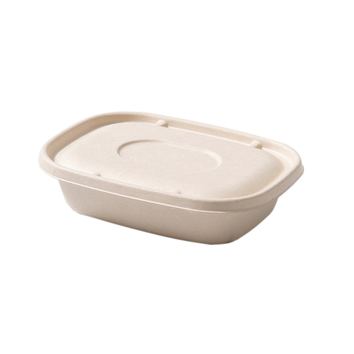 100Pcs Disposable Bagasse Takeaway Food Boxes with Lids