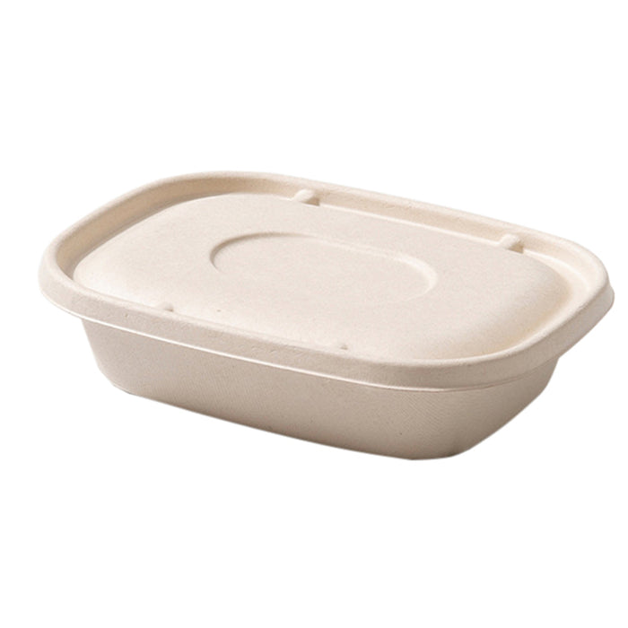 100Pcs Disposable Bagasse Takeaway Food Boxes with Lids